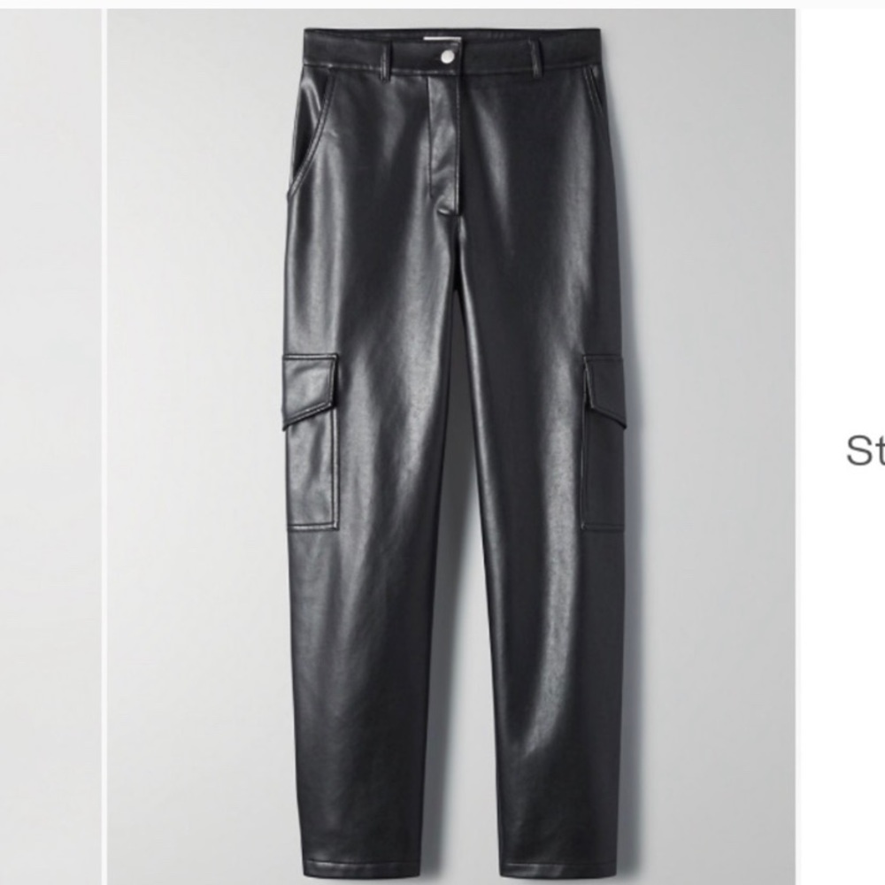 Aritzia Cargo Pants